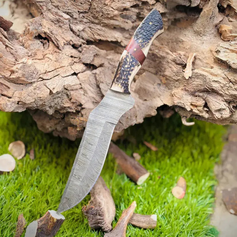 15" Handmade Forged Damascus Steel Hunting bowie knife survival knife - Rambo bowie knife w/ stag horn